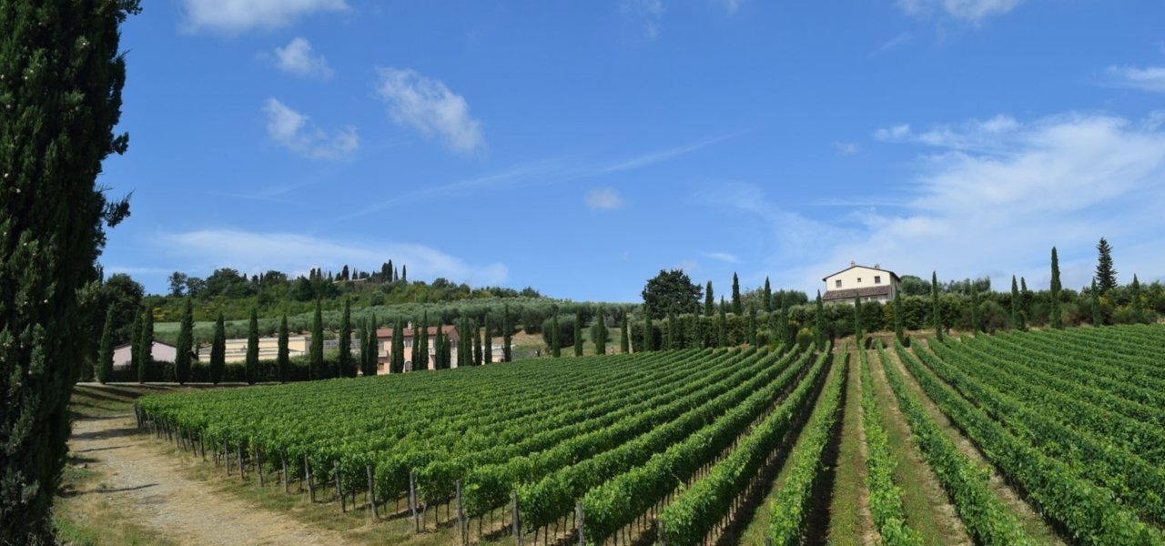 Vineyards